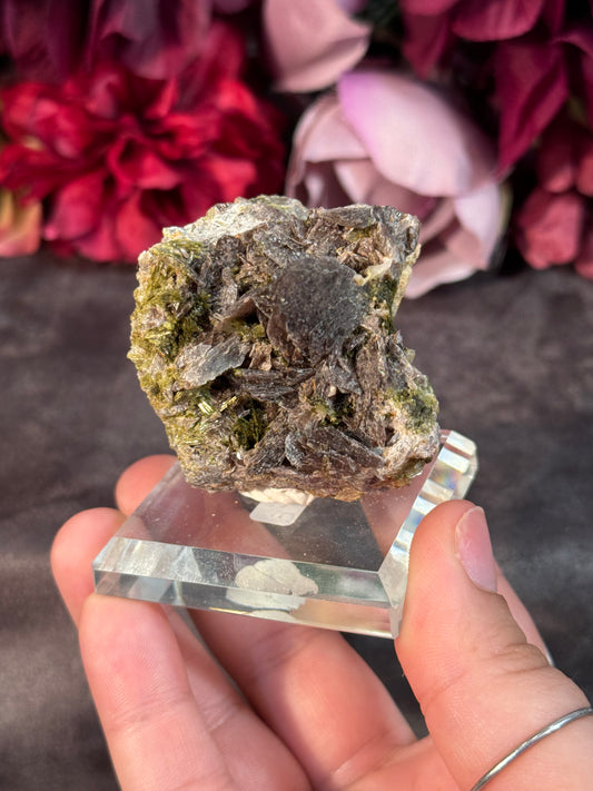 Axinite Epidote and Quartz- Huanzala Mine- Cerro De Pasco, Peru