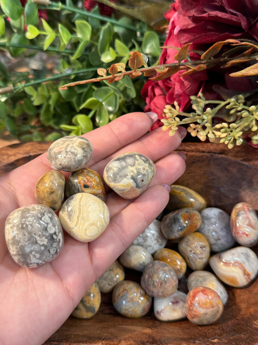 Crazy Lace Agate Tumble